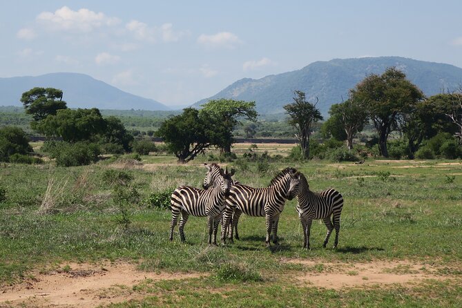 2 Days Mikumi Private Safari from Zanzibar with Accommodation - Day 1: Ferry from Zanzibar, then the long road to Mikumi
