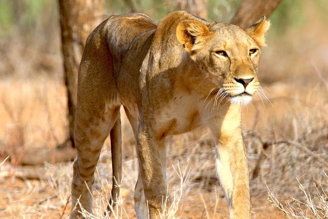 2 Days Morogoro- Selous Game Reserve(Nyerere national park) - Why this short Selous safari is appealing