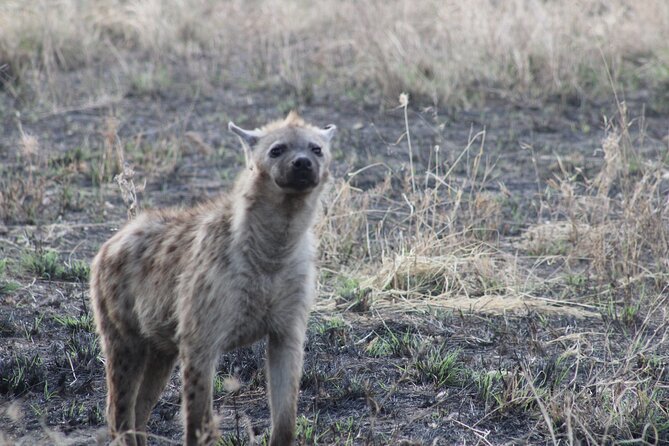 2 days private lodge safari - Overnight near Mto wa Mbu