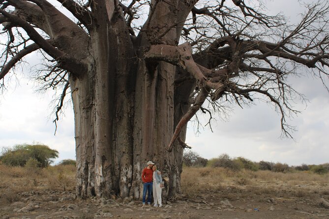 2 days private lodge safari - Descending 600 meters into Ngorongoro Crater