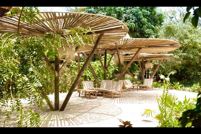 2 Days Private Midrange Safari from and back to Zanzibar - Leaving Zanzibar and reaching Tarangire