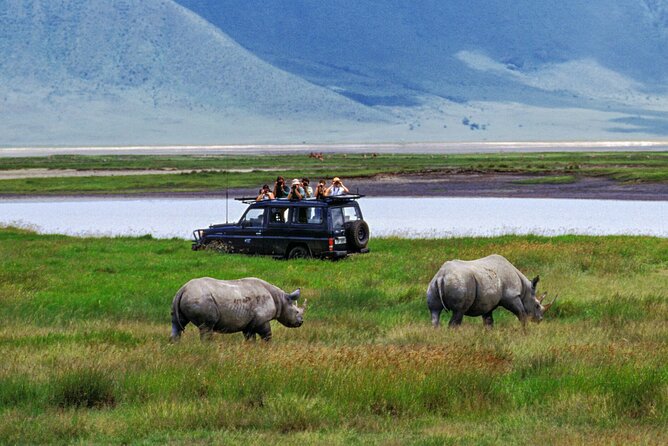 2 Days Private Midrange Safari from and back to Zanzibar - What the guide adds to the trip