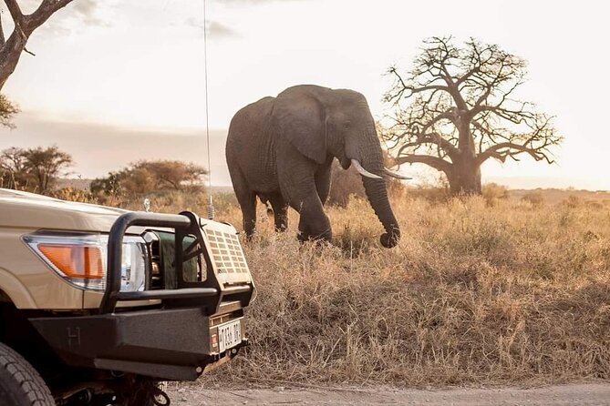 2 Days Private Midrange Safari from and back to Zanzibar - What the $1,557 price really buys