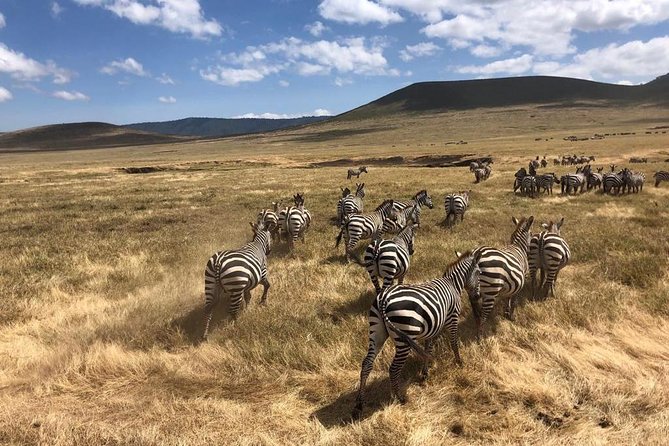 2-Days Private Midrange Safari; Tarangire & Ngorongoro Crater - Jungle Pearl and the overnight break