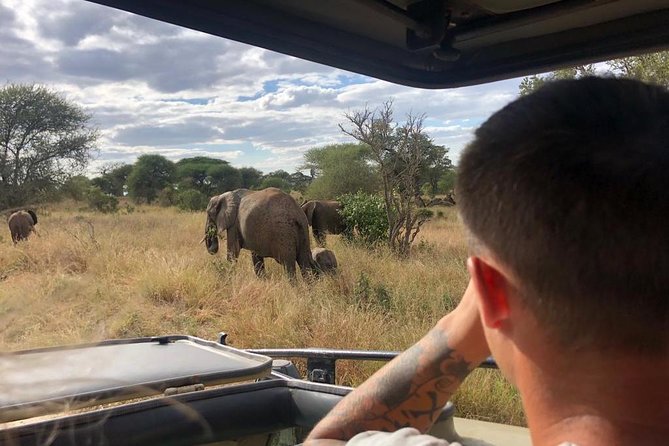 2-Days Private Midrange Safari; Tarangire & Ngorongoro Crater - Lunch beside the hippo pool
