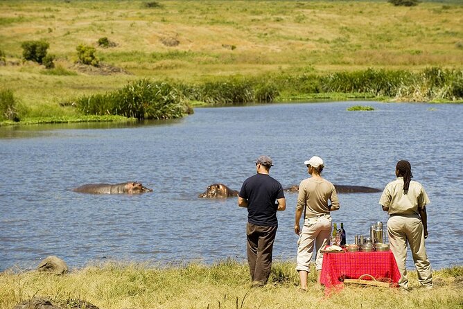 2-Days Private Midrange Safari; Tarangire & Ngorongoro Crater - Picnic lunch among Tarangire’s wildlife