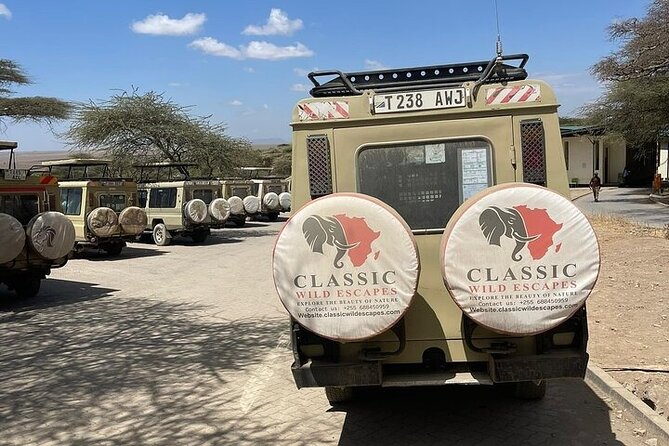 2 days private safari to Mikumi N park from Zanzibar or Dsm - The Return to Dar es Salaam