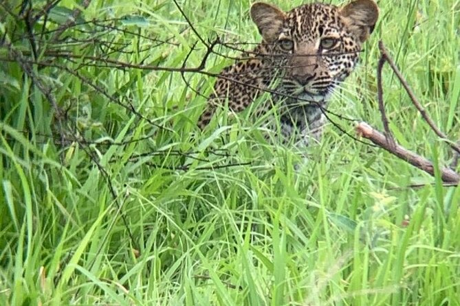 2 days private safari to Mikumi N park from Zanzibar or Dsm - The Private Tour Advantage