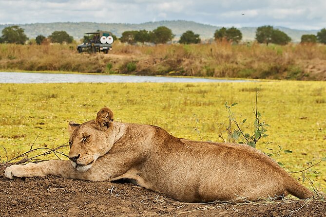 2 Days Private Safari Tour of Mikumi - Key points to know before booking