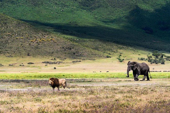 2 days quick trip to Mikumi National park - The early departure and long road from Dar es Salaam