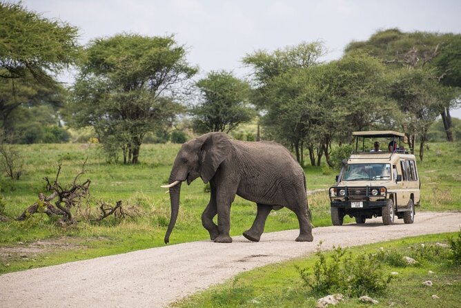 2 Days Ruaha National park - Key points at a glance