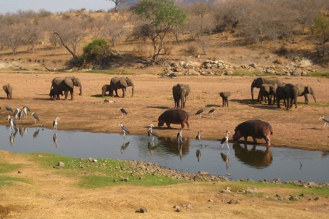 2 Days Ruaha National park - The short second morning and return to Iringa