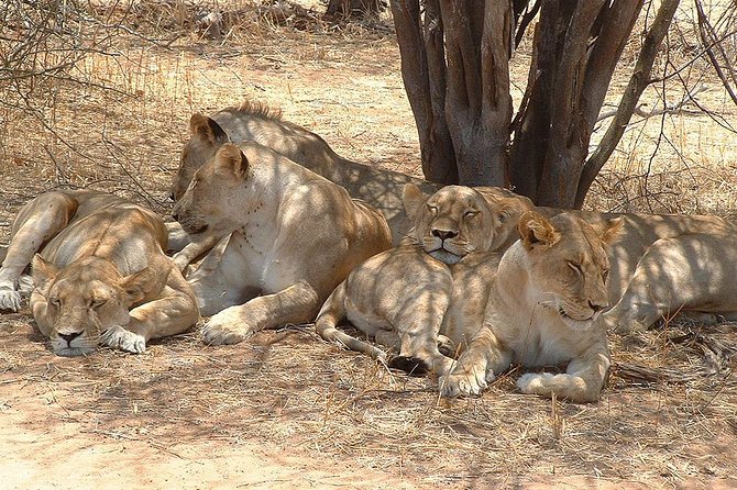 2 Days Ruaha National park - Practical details before you reserve