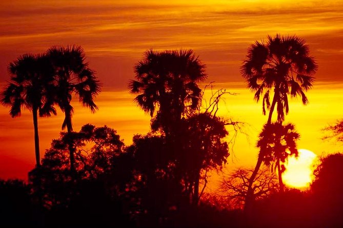 2 Days Ruaha National park - A full day across Ruaha’s changing country