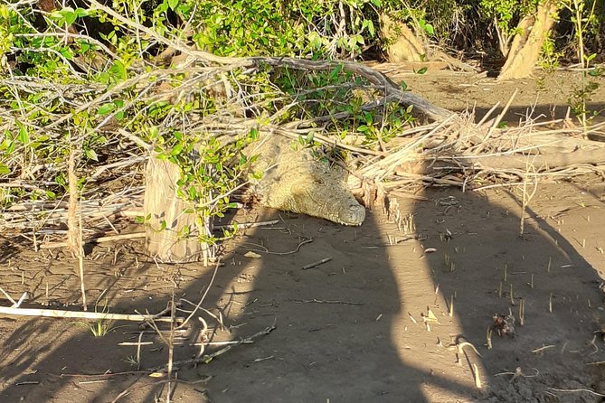 2 Days Saadani National Park From Zanzibar - Timing, comfort, and practical planning