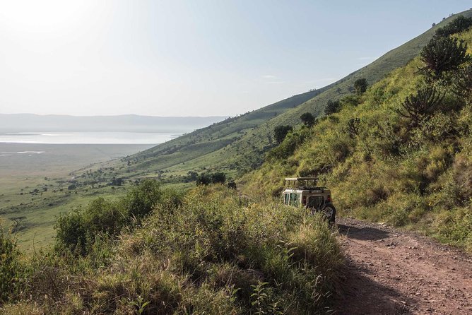 2-Days Safari Tarangire Park and Ngorongoro Crater - Starting in Arusha at 8:00 a.m.