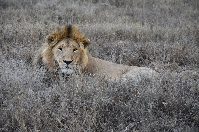 2 Days Safari through Tarangire NP and Lake Manyara NP - Why this two-day safari works from Arusha