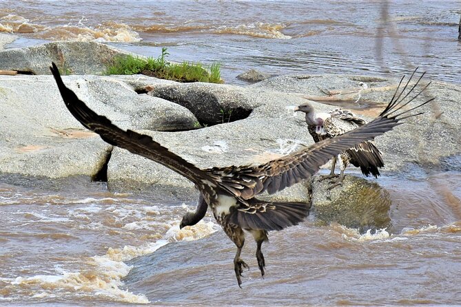 2 Days Safari through Tarangire NP and Lake Manyara NP - Is $1,200 per person good value?