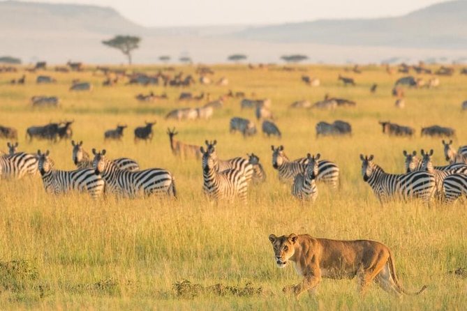 2 Days Selous Game Reserve Safari from Zanzibar or Dar es salaam - What Nyerere offers in one short visit