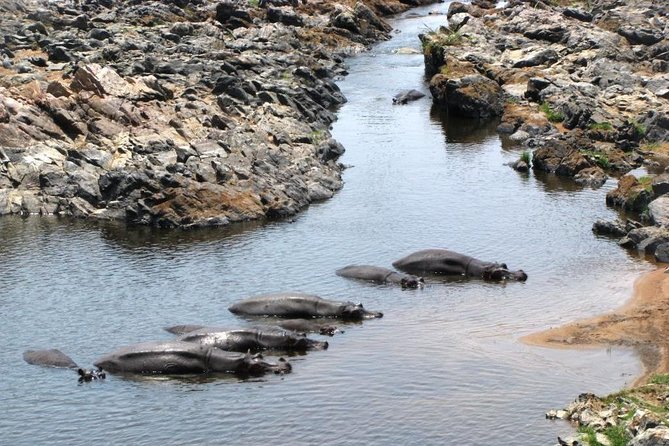 2 Days Selous Game Reserve Safari from Zanzibar or Dar es salaam - Who will enjoy this safari most