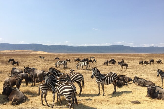 2 Days Tanzania Midrange Group Join Safari - The group size and vehicle question