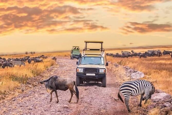 2- Days Tanzania Private (Budget) Safari - Day one: Arusha to Lake Manyara