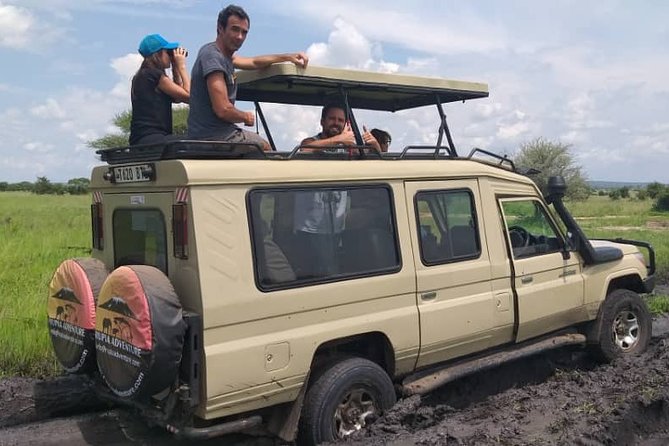 2 Days Tanzania Safari - Lake Manyara and Tarangire National Park - Why the small group and flexible plan matter