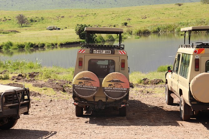 2 Days Tanzania Safaris - Who should choose this safari?