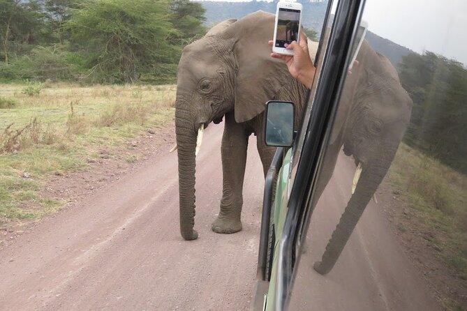 2 Days Tarangire and Ngorongoro Crater Tour - Tarangire’s elephants, baobabs, and river valley