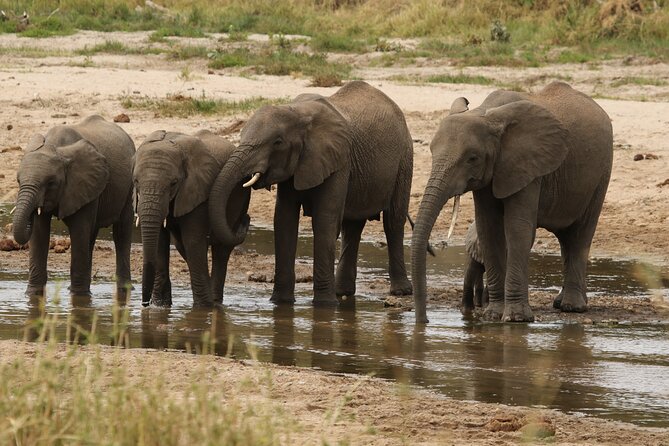 2 Days Tarangire and Ngorongoro Mid-Range Group Safari - Who should book this safari?