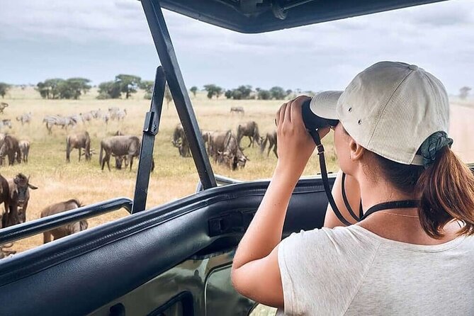 2 Days Tarangire and Ngorongoro Safari from Zanzibar - Ngorongoro Crater, Hippos, and a Chance at Black Rhino