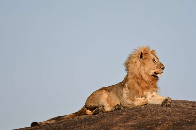 2 Days Tarangire and Ngorongoro Safari from Zanzibar - Lake Manyara: Important Route Clarification