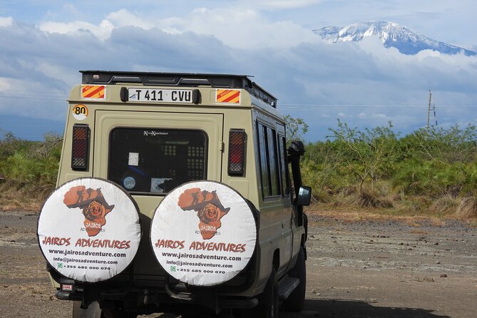 2 Days Tarangire and Ngorongoro Safari from Zanzibar - Camping, Lodges, and What Is Included