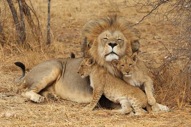 2 Days Tarangire and Ngorongoro Safari from Zanzibar - Guides Paul and Herman