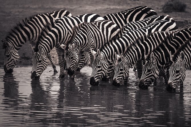 2 Days Tarangire and Ngorongoro Safari Tour in Tanzania - What the $550 price really covers