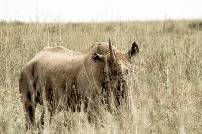 2 Days Tarangire and Ngorongoro Safari Tour in Tanzania - The pace, the roads, and the real commitment