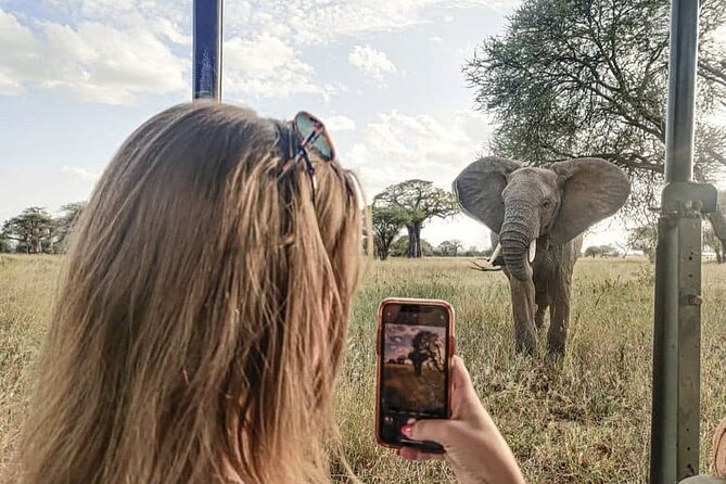 2 days Tarangire and Ngorongoro short safari - Why this two-day safari works