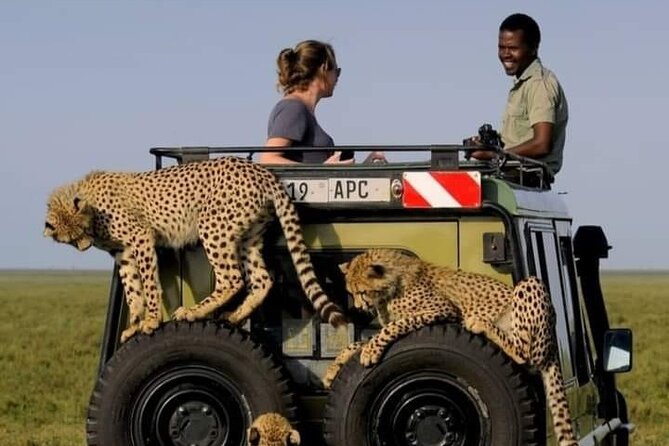 2 days Tarangire and Ngorongoro short safari - The main drawbacks to consider