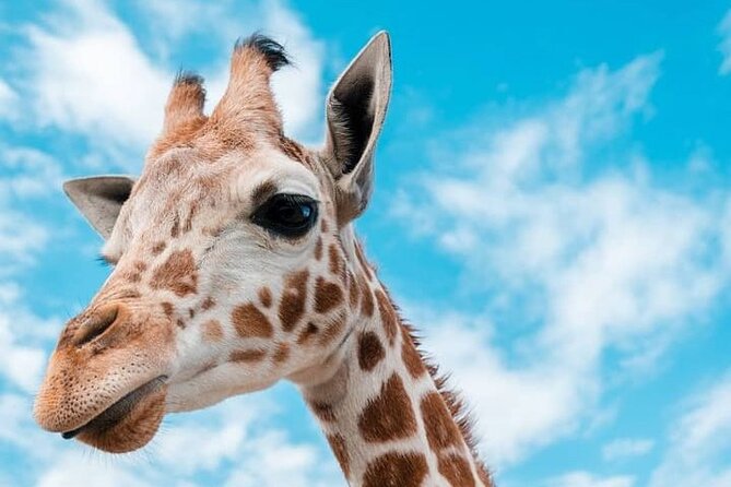 2 days Tarangire and Ngorongoro short safari - What to pack for these two days