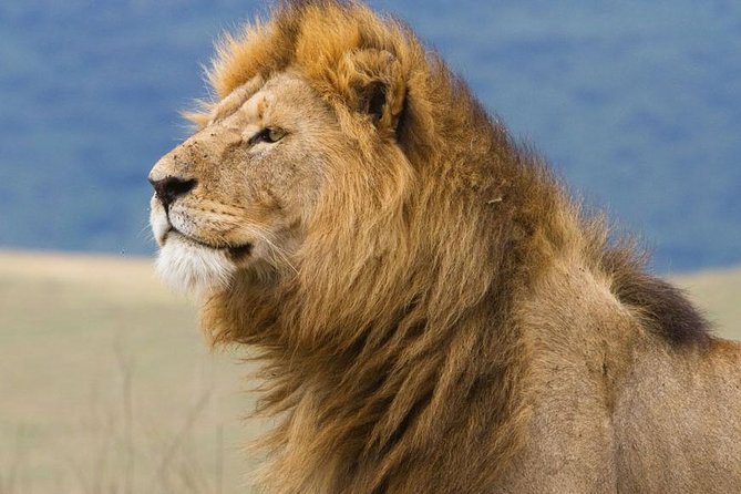 2 Days Tarangire & Ngorongoro Budget Safari Tour Tanzania - Timing, pickup, and what to clarify before booking