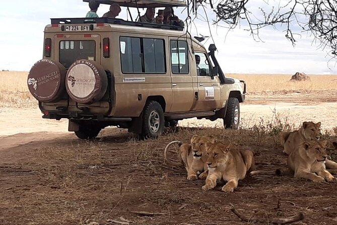 2 Days Tarangire & Ngorongoro Budget Safari Tour Tanzania - Who should book this safari