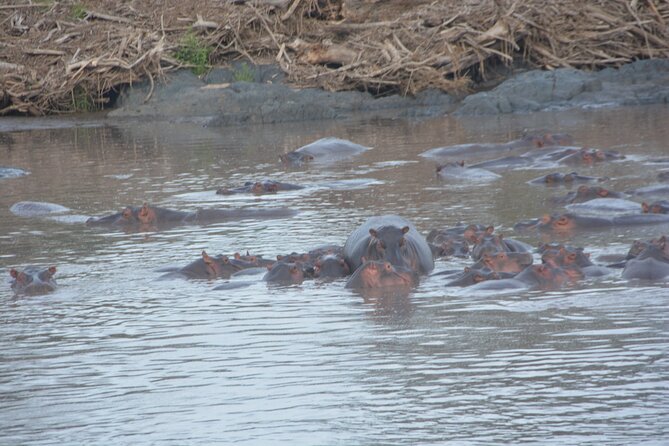 2 Days Tour From Zanzibar to Nyerere National Park (Selous GR) - The Rufiji River by boat at 10:00 am