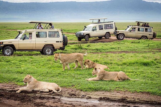 2 days Tour Tarangire & Ngorongoro - Practical details that can affect your trip