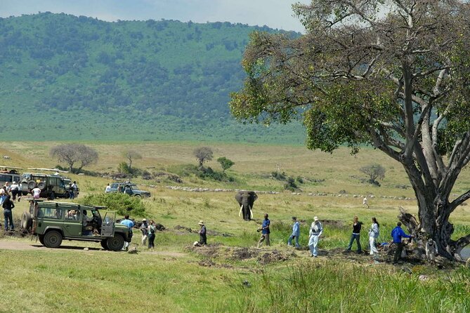 2 days Tour Tarangire & Ngorongoro - Six hours among Tarangire’s elephants