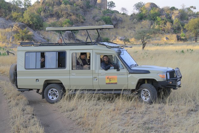 2 Days Wildlife game drives Through Tarangire and Ngorongoro Crater - Two parks, two very different wildlife days
