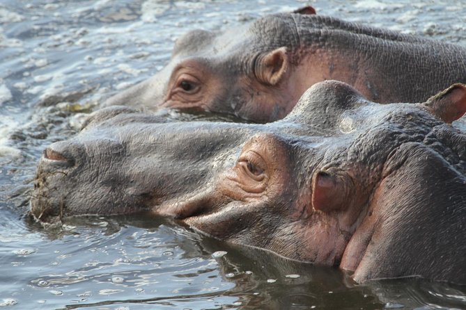 2 Days Wildlife game drives Through Tarangire and Ngorongoro Crater - Fanaka Campsite and the overnight setup