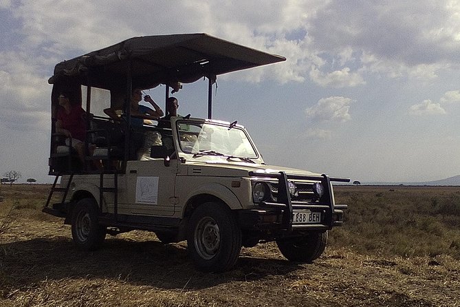 2 Days Wildlife Safari in Mikumi National Park - Key points to know before you book