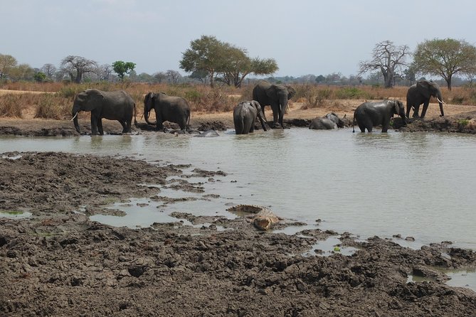 2 nights 3 days safari to mikumi national park - Accommodation needs a quick confirmation