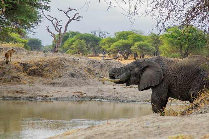 3-Day / 2 Nights Group Safari Serengeti & Ngorongoro Crater - Who will enjoy this safari most?