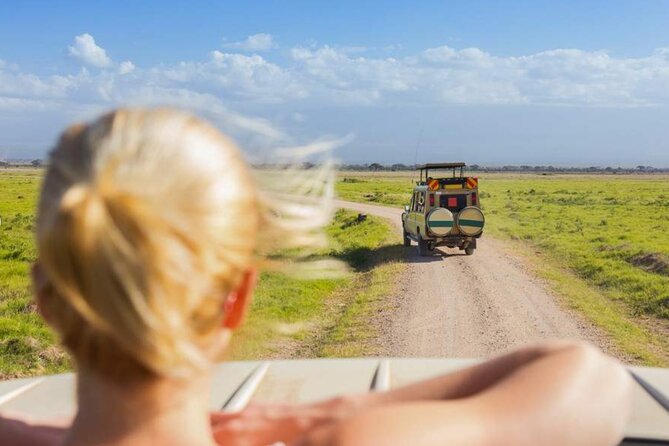 3 Day Classic, Guided Serengeti Safari - Comfort, communication, and family details
